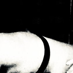 LOVE THAT WHITE COCK!!!!