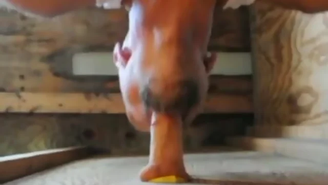 mature deepthroater
