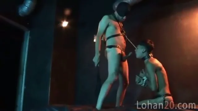 Humble puppy for an aged gay master