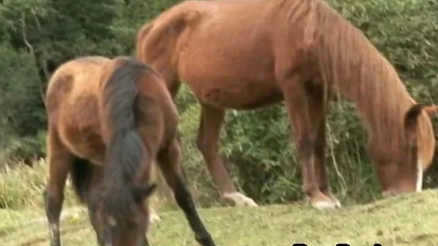 Intense Bareback Fucking With Cute Latino Gay