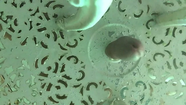 Me fucking a table with tight hole #2