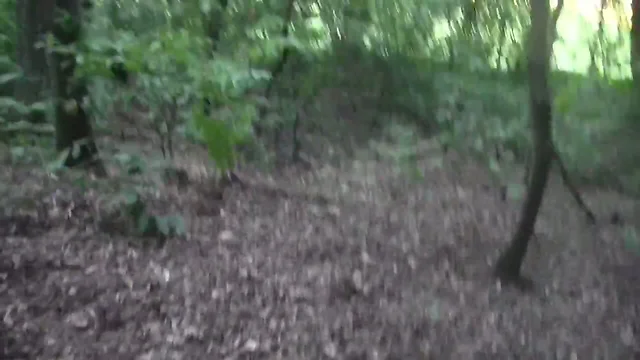 REAL HOT CUM HARD COCK NUDE OUTDOOR PUBLIC WOOD AMATEUR SOLO