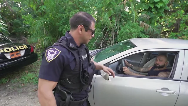Gaywire atlas grant: respect the law, bitch! draven navarro: yes, sir.