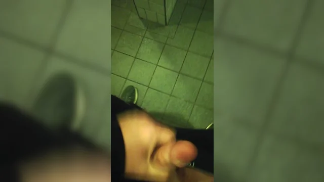 Public toilet indecency