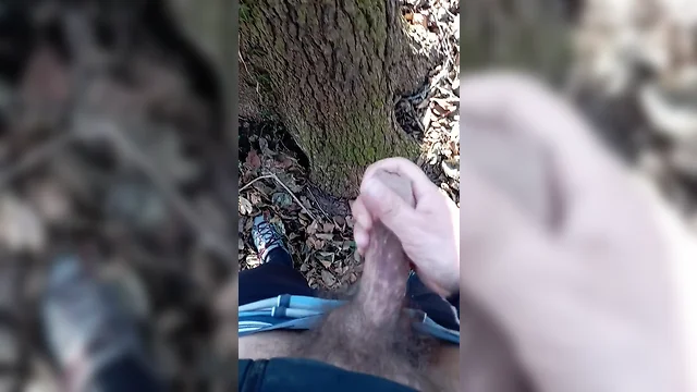 Big uncut penis ejaculating in the woods