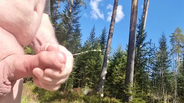 Forrest adventures: big masturbators outdoors in public!