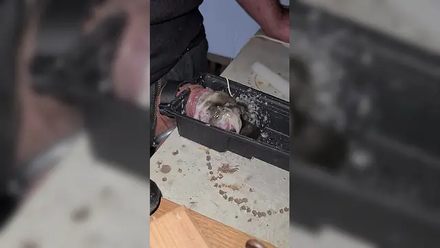 New toy and torture: cock ring electro cumshot tortured slave