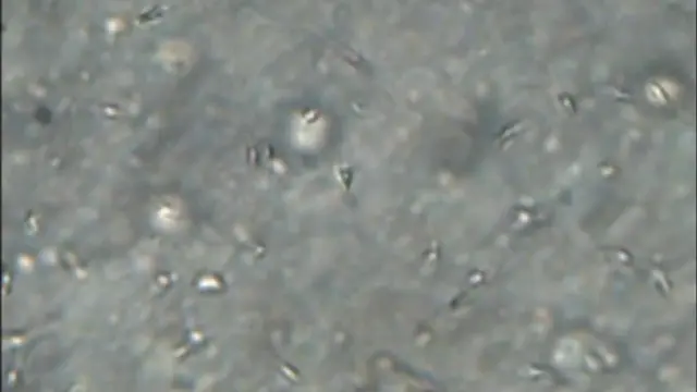 Amateur homemade bare fuck doll masturbation toy fucking