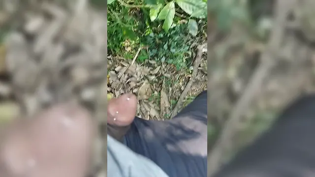 Hot sex in india forest: blacked daddies movie nudist outdoor public sexs hot