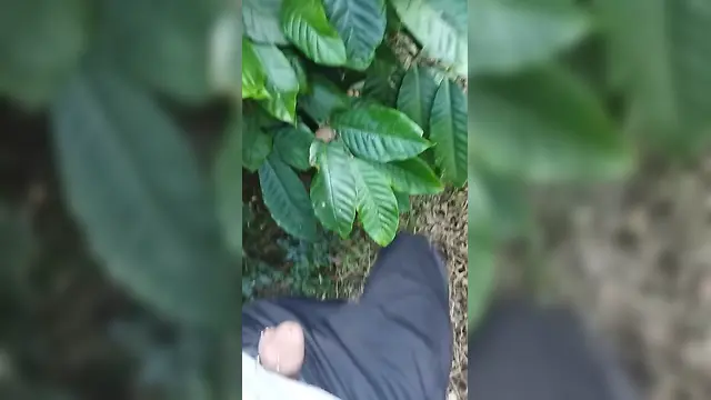 Hot sex in india forest: blacked daddies movie nudist outdoor public sexs hot