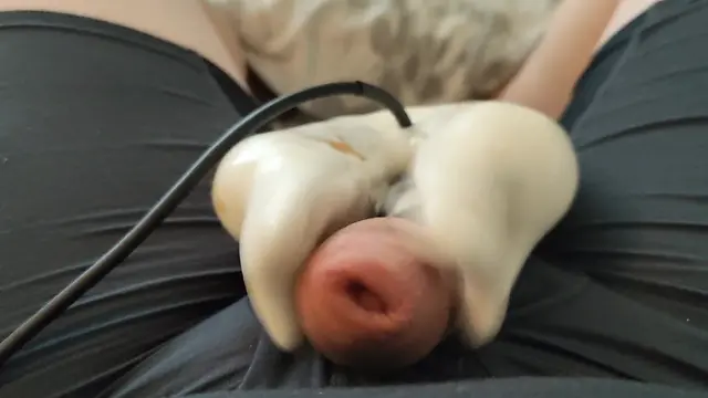 Big cumshots self-shooting ropes of cum: briefs & foreskins vibrator edition