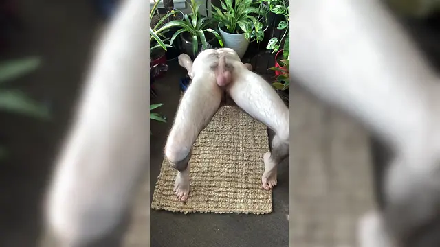 Amateur bear man gets naked, stretches, and lazes around in the jungle - no erection bigcock bigwhite