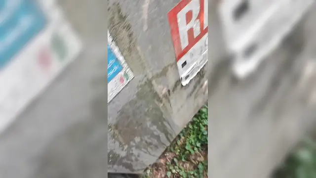 Amateur outdoor big cock piss naked men public pissing compilation