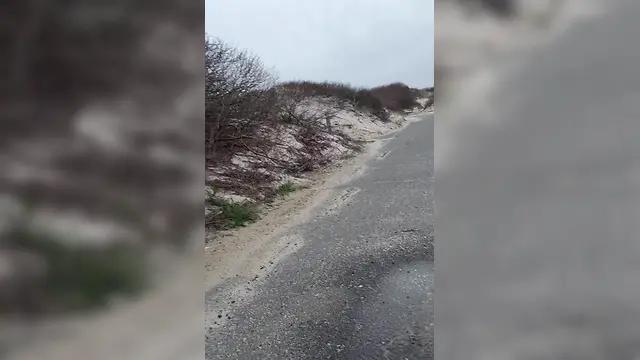 Hot man pissing and showing ass in public parking lot with big cock and toys.