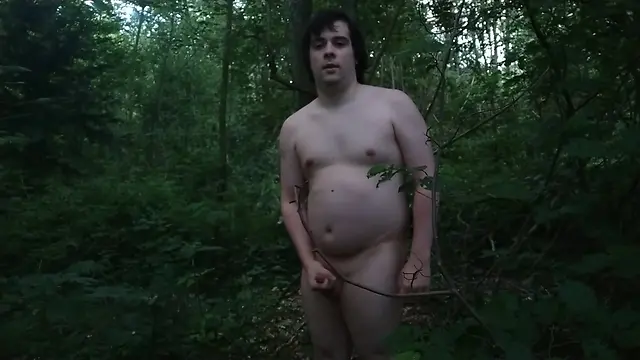 Exploring the forest