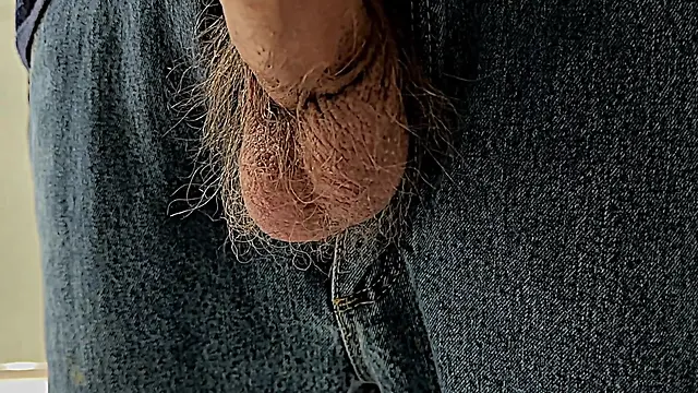 Semi-erect penis peeking out of jeans