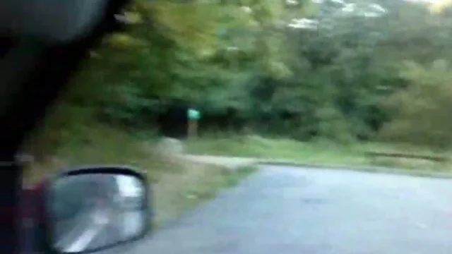 Car masturbation and sucking in woods